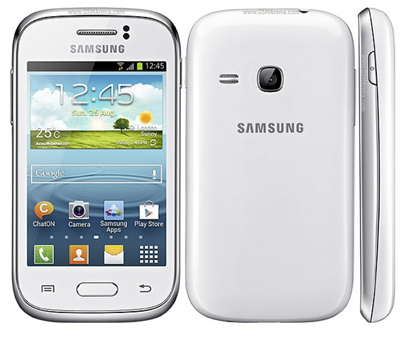 Samsung Galaxy Young S6310