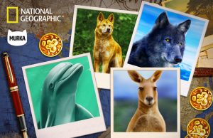 Max Polyakov, Murka And Nat Geo WILD Slots™ To Bring Awareness About Environmental Issues Max Polyakov, Murka And Nat Geo WILD Slots™ To Bring Awareness About Environmental Issues