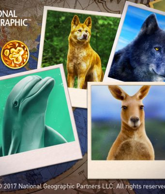 Max Polyakov, Murka And Nat Geo WILD Slots™ To Bring Awareness About Environmental Issues