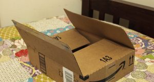 Western eCommerce & Tech Companies Look To Take Over South East Asia Western eCommerce & Tech Companies Look to Take Over South East Asia