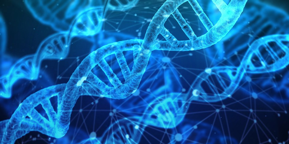 How to Pick the Best Technology Stack For Your Product
