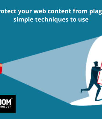 How to Protect Your Web Content from Plagiarism | 5 Simple Techniques to Use